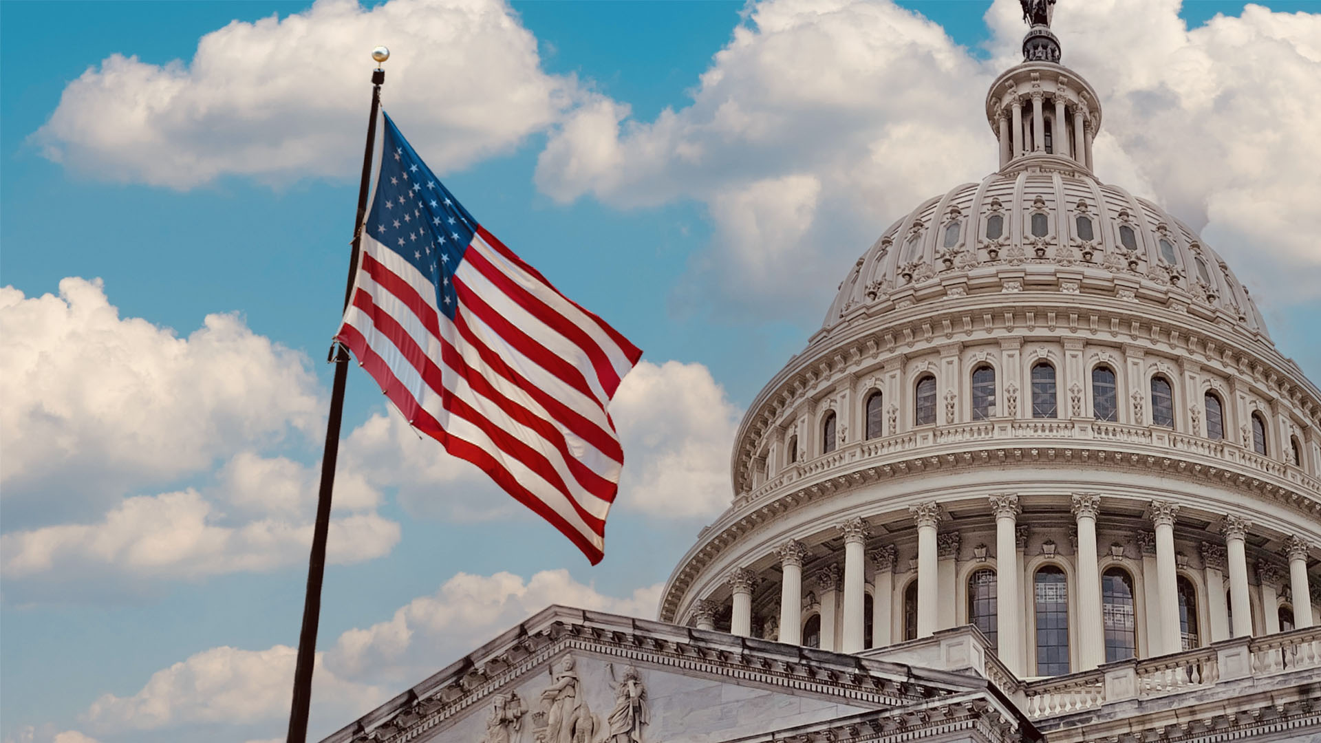 Government & Public Sector